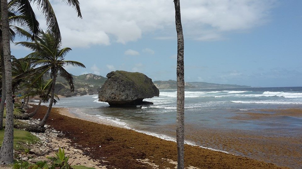 Bathesheba Barbados