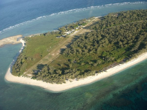 Lady Elliot Island 
