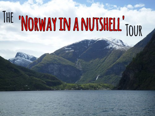 Norway In A Nutshell Tour! Review – Viking Wanderer