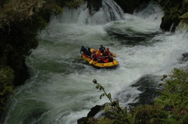 Kaituna falls rafting